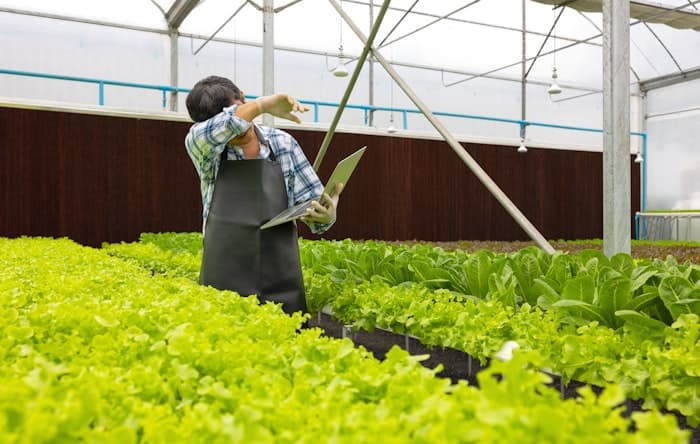 Drone fleet management system for modern agriculture — Clients
