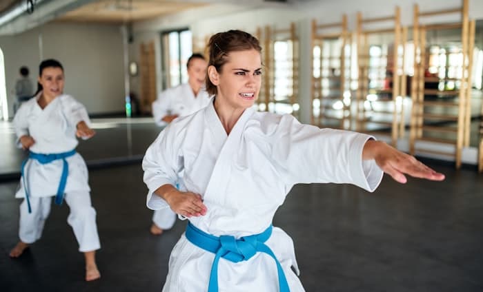 Seamlessly connect martial artists with global training resources. — Schools