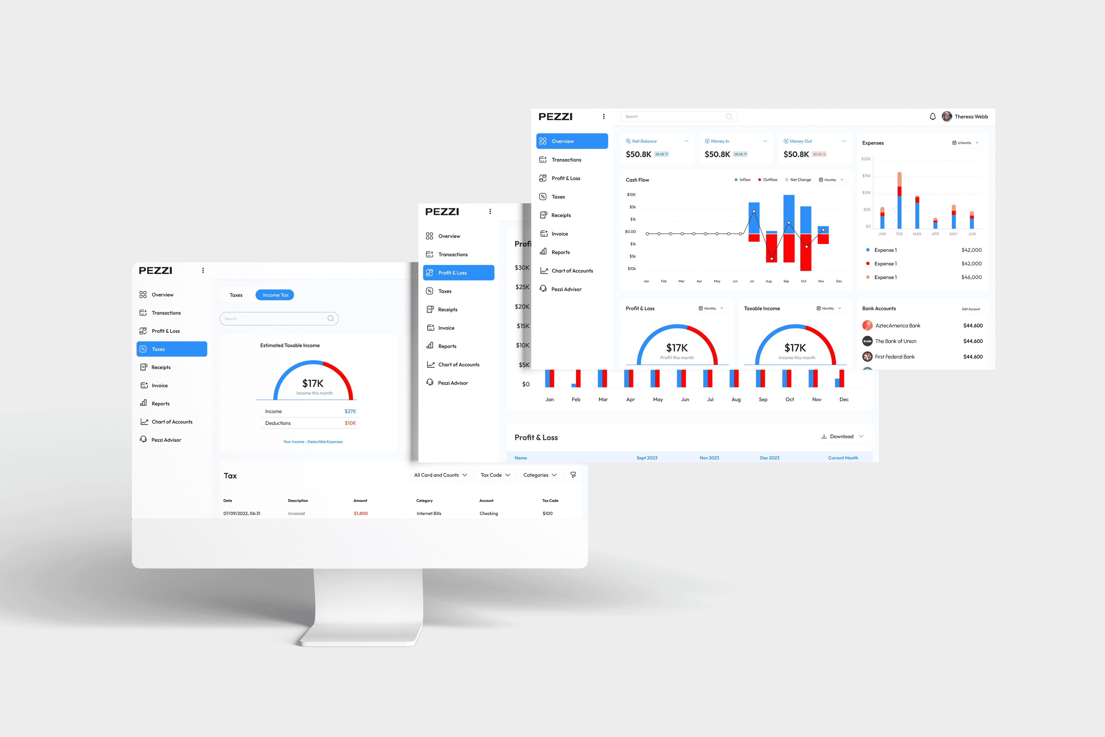 Modern accounting software for small business finance — Financial Overview